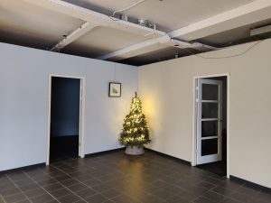 Kerstsfeer aan de kattenkant van de kliniek