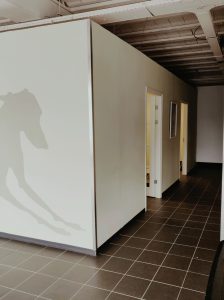 Honden consultkamers
